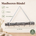 Maulbeeren Bündel grau-weiß, grau-weiß, 50 cm (Morus) – Maße und Liefermenge auf einen Blick