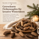 2881-Fichtenzapfen-natur-1-kg--ca--40---50-Stueck--6---12-cm-----getrocknete-Naturzapfen-und-Deko-Zapfen-zum-Basteln--fuer-Kraenze--Adventsdeko--Weihnachtsdeko-und-Tischdeko_5.png