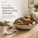 2881-Fichtenzapfen-natur-1-kg--ca--40---50-Stueck--6---12-cm-----getrocknete-Naturzapfen-und-Deko-Zapfen-zum-Basteln--fuer-Kraenze--Adventsdeko--Weihnachtsdeko-und-Tischdeko---.png