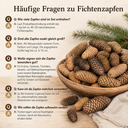 2881-Fichtenzapfen-natur-1-kg--ca--40---50-Stueck--6---12-cm-----getrocknete-Naturzapfen-und-Deko-Zapfen-zum-Basteln--fuer-Kraenze--Adventsdeko--Weihnachtsdeko-und-Tischdeko---_2.png