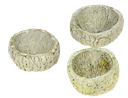 2950-Qurico-apfelgruen-Paranussschale-Madeira-Cup_3.png