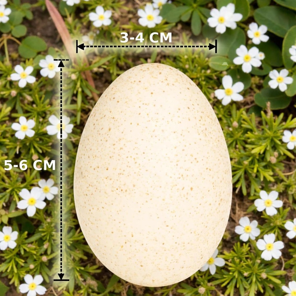 2978-Truthahneier-Deko-Natur-12-Stk-5---6-cm--Ostereier-zum-Basteln--Bemalen--Aufhaengen_2.jpg
