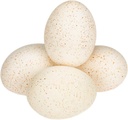 2978-Truthahneier-Deko-Natur-12-Stk-5---6-cm--Ostereier-zum-Basteln--Bemalen--Aufhaengen_3.jpg