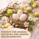 2978-Truthahneier-Deko-Natur-12-Stk-5---6-cm--Ostereier-zum-Basteln--Bemalen--Aufhaengen_4.jpg