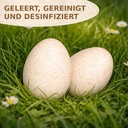 2978-Truthahneier-Deko-Natur-12-Stk-5---6-cm--Ostereier-zum-Basteln--Bemalen--Aufhaengen_5.jpg