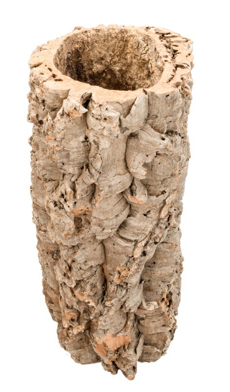 3026-Korkeiche-XL-50-60cm-x--------15-25cm---Korkt_1.jpg
