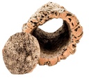 3026-Korkeiche-XL-50-60cm-x--------15-25cm---Korkt_2.jpg