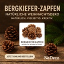 3037-Bergkiefer-Zapfen--Groesse-ca--3-5cm--Gewicht-0-5kg--ca--100-130-Stk----Pinus-mugo_4.jpg