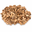 Douglasien Zapfen, Natur, 150 Stück, 5-8 cm (Pseudotsuga) – Produktfoto auf weißem Hintergrund