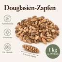 Douglasien Zapfen, Natur, 150 Stück, 5-8 cm (Pseudotsuga) – Maße und Liefermenge auf einen Blick