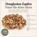 Douglasien Zapfen, Natur, 150 Stück, 5-8 cm (Pseudotsuga) – Eigenschaften im Überblick