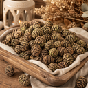 3120-Mammutbaumzapfen-1kg-3-5cm-ca--90-Stk-Sequoia-Naturzapfen-Deko-DIY-Adventskranz_3.png