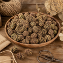3120-Mammutbaumzapfen-1kg-3-5cm-ca--90-Stk-Sequoia-Naturzapfen-Deko-DIY-Adventskranz_4.png
