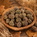 3120-Mammutbaumzapfen-1kg-3-5cm-ca--90-Stk-Sequoia-Naturzapfen-Deko-DIY-Adventskranz_5.png