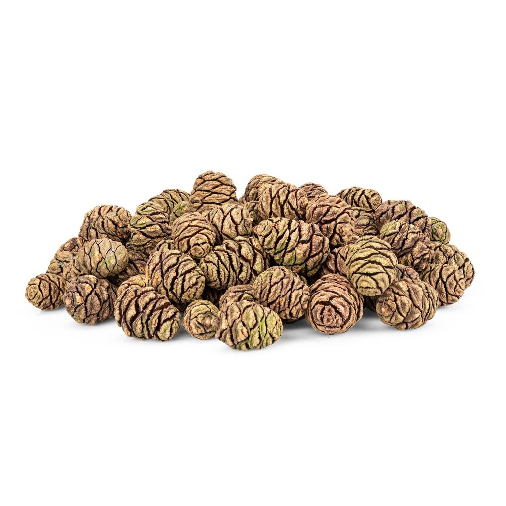 3120-Mammutbaum-Zapfen-1kg---90-Stueck---3---5-cm---Sequoia-Zapfen-natur-_1.jpg