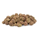 3120-Mammutbaum-Zapfen-1kg---90-Stueck---3---5-cm---Sequoia-Zapfen-natur-_1.jpg