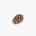 3120-Mammutbaum-Zapfen-1kg---90-Stueck---3---5-cm---Sequoia-Zapfen-natur-_4.jpg