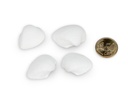 3241-Anadara-ovalis--0-5kg--ca--3-5cm--ca-140-160--Stk-----Arca-Muschelschalen-_4.jpg