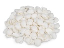 3241-Anadara-ovalis--0-5kg--ca--3-5cm--ca-140-160--Stk-----Arca-Muschelschalen-_2.jpg