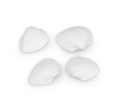 3241-Anadara-ovalis--0-5kg--ca--3-5cm--ca-140-160--Stk-----Arca-Muschelschalen-_3.jpg