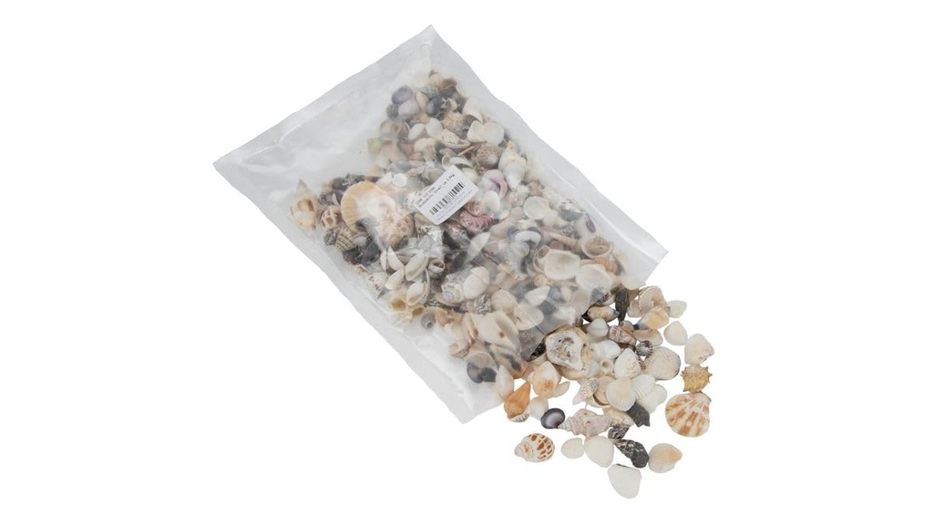 3268-Muschelmix--Small---Gewicht-ca--0-5kg---Muscheln-und-Schnecken.jpg