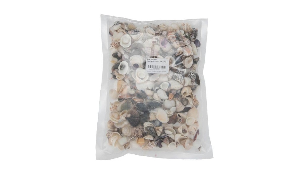 3268-Muschelmix--Small---Gewicht-ca--0-5kg---Muscheln-und-Schnecken_1.jpg