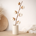 3296-Baumwollzweig-Natur-65---75cm-----Getrocknet-----6-Dolden-----Boho-Deko-Zweig-Vase-DIY_6.png