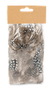 3343-Perlhuhnfedern-natur-im-Beutel-mit-5g---Perlhuh.png