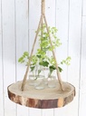 3353-Baumscheibe-Haenge-Tablett----ca--25cm---Baum_2.jpg