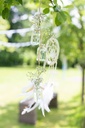 3378-Glasflaeschen-36-Stueck-ca--10-5x4-8cm_5.jpg