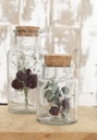 3406-Apothekerflaschen--Packung-mit-12-Stueck--Masse-ca--16x8cm---Deko-Glasflaschen---_1.jpg