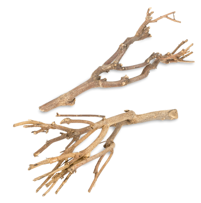 Dekobündel John Branch Natur ca. 35 cm – 2