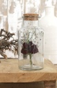 3406-Apothekerflaschen--Packung-mit-12-Stueck--Masse-ca--16x8cm---Deko-Glasflaschen---_6.jpg