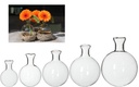 3463-Kugelvase-aus-Glas-im-Durchmesser-40-80mm-waehlbar---Glas-Kugel-Vasen---Dekovasen-zum-Haengen---Hydroponik-Vasen---Haengevase---Glasvase---Blumenvase---Tischvase---Glaskugel-Vase_3.jpg