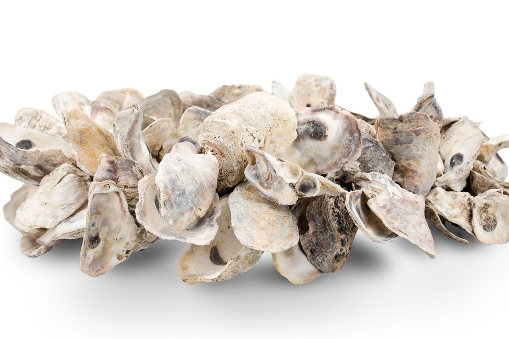 3524-Muschelkranz-Talaba-Auster----39cm---Kranz-aus-Deko-Muscheln-_2.jpg
