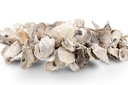 3524-Muschelkranz-Talaba-Auster----39cm---Kranz-aus-Deko-Muscheln-_2.jpg