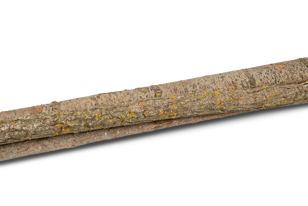 3602-Pappel-Rinde-natur-im-Bund-ca--180-200cm_1.jpg