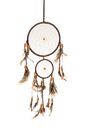 3801-Traumfaenger-braun-mit-Federn-in----8-11--15cm-zur-Auswahl_2.png