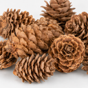 3809-Laerchenzapfen-0-5-kg-2-3-cm-ca--175-200-Stk--Naturzapfen-Basteln-Weihnachtsdeko_2.png