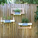 3811-Blumenkasten-Einsatz-passend-fuer-Europaletten-6-Stueck-ca--36cm-in-6-Farben_2.jpg