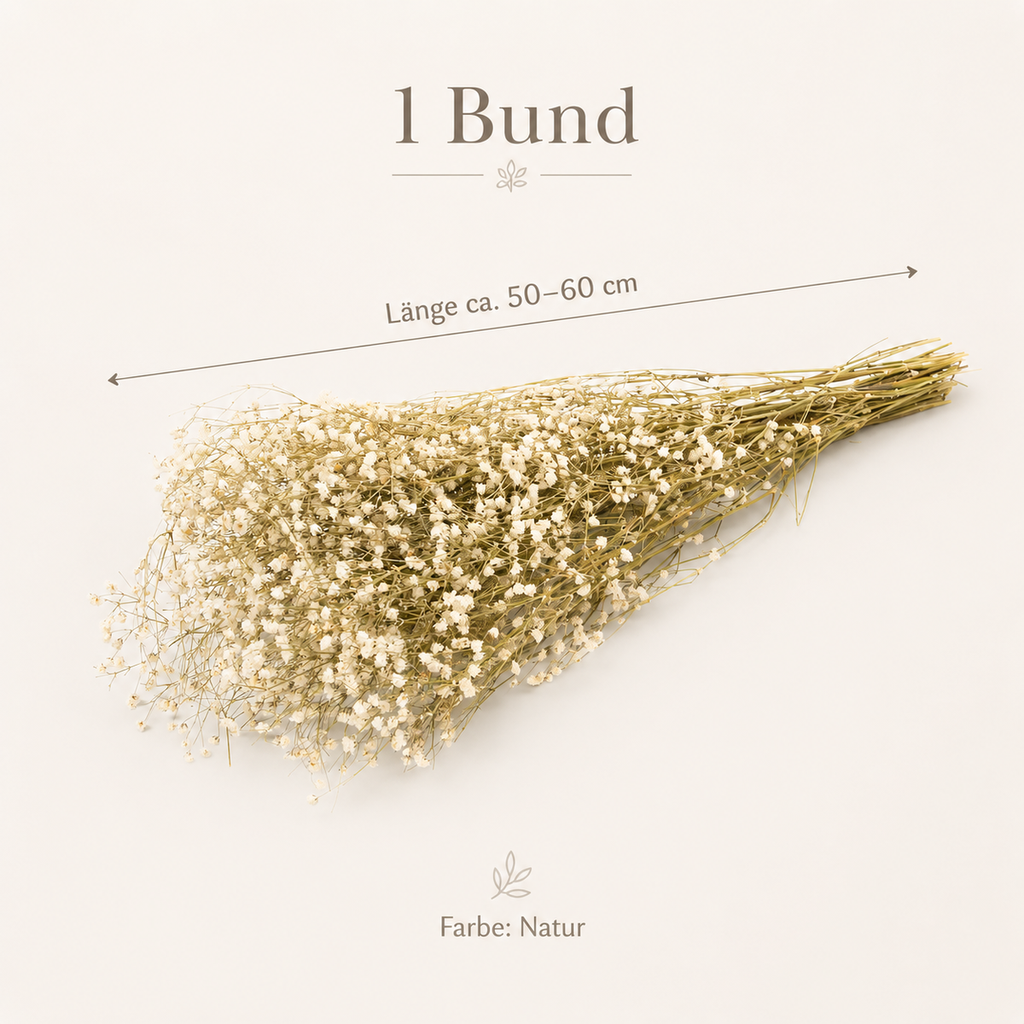 3823-Schleierkraut-getrocknet-im-Bund-50-60cm-Gypsophila-Trockenblumen-10-Farben_2.png