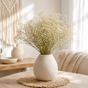 3823-Schleierkraut-getrocknet-im-Bund-50-60cm-Gypsophila-Trockenblumen-10-Farben_3.png