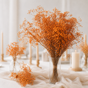 3823-Schleierkraut-getrocknet-im-Bund-50-60cm-Gypsophila-Trockenblumen-10-Farben_13.png