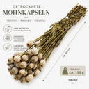 3863-Mohnkapseln-getrocknet-150-g-ca--60-cm-Papaver-Trockenblumen-Deko-Floristik_2.png