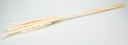 3870-Pampasgras-Fluffy-getrocknet-35g--ca--8-10-Stiele-75-80cm-in-natur-und-weiss-waehlbar_1.jpg