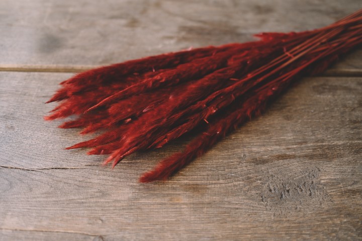 3870-NaDeco-Pampasgras-Fluffy-getrocknet-35-70g--Laenge---80cm--viele-Farben-Waehlbar-_8.jpg