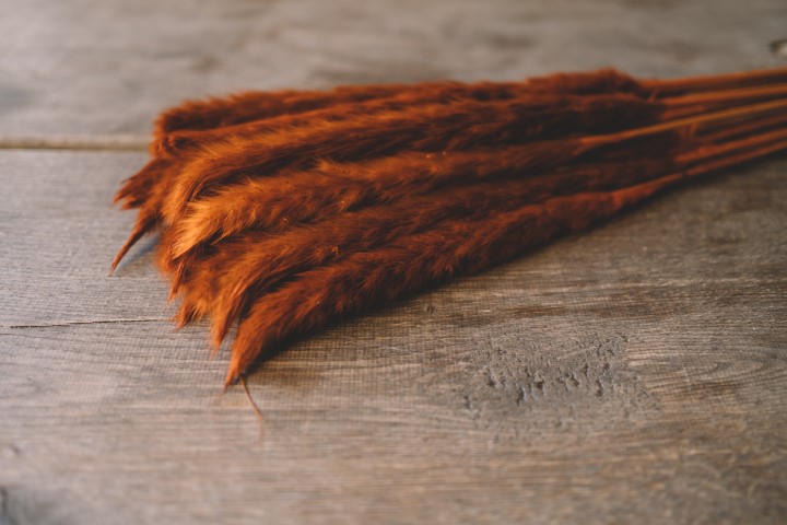 3870-NaDeco-Pampasgras-Fluffy-getrocknet-35-70g--Laenge---80cm--viele-Farben-Waehlbar-_14.jpg