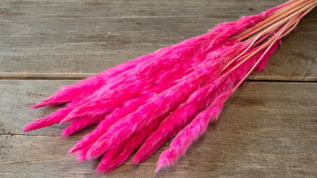 3870-NaDeco-Pampasgras--Fluffy--getrocknet--Gewicht-35g-70g--Laenge---80cm--viele-Farben-waehlbar-_1.jpg