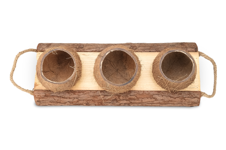 3930-Holzschale-mit-Kokosnuss-Bechern-in-zwei-Groessen-zur-Auswahl_1.png