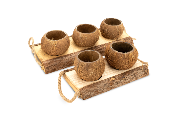 3930-Holzschale-mit-Kokosnuss-Bechern-in-zwei-Groessen-zur-Auswahl_4.png